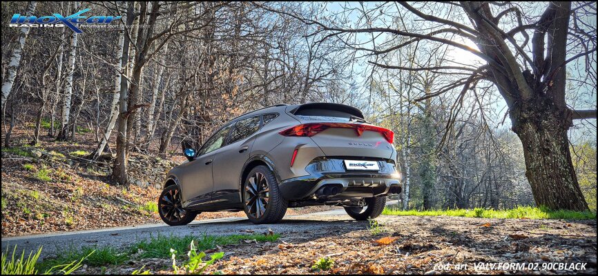 NEU: Inoxcar Edelstahl Klappenauspuff Cupra Formentor VZ 2.0 TSI 4Drive 333PS 2024- - NEU: Inoxcar Edelstahl Klappenauspuff Cupra Formentor VZ 2.0 TSI 4Drive 333PS 2024-