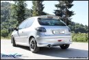 PEUGEOT 206 1.4 75PS Sportauspuff 102mm Edelstahl