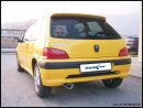 PEUGEOT 106 1.1 60PS Sportauspuff 120x80mm Edelstahl