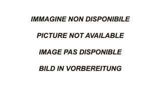 Peugeot 208 1.2 110PS Mittelschalldämpfer Edelstahl