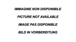 VW Golf 8 2.0 TDI 150PS Sportauspuff Edelstahl