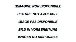 Ford Mustang MK6 GT 5.0 V8 Mittelschalldämpfer Edelstahl