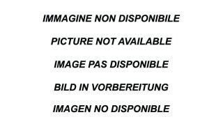 BMW F21 118i 1.5 136PS Inoxcar Mittelrohr Edelstahl